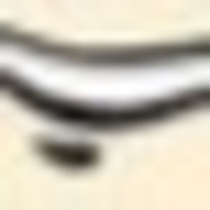 Meet your Posher, Teryn